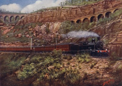 Treno espresso sulla nuova linea tra Sydney e Bendigo, mostrando i vecchi viadotti a zig-zag? da English School